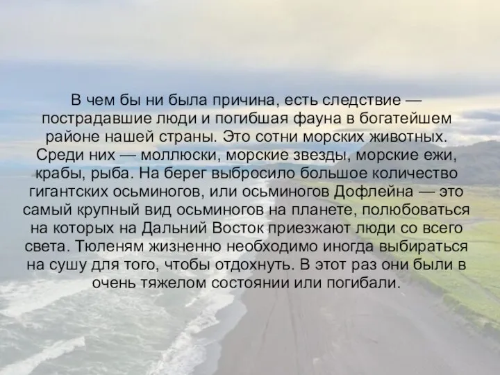 В чем бы ни была причина, есть следствие — пострадавшие люди и