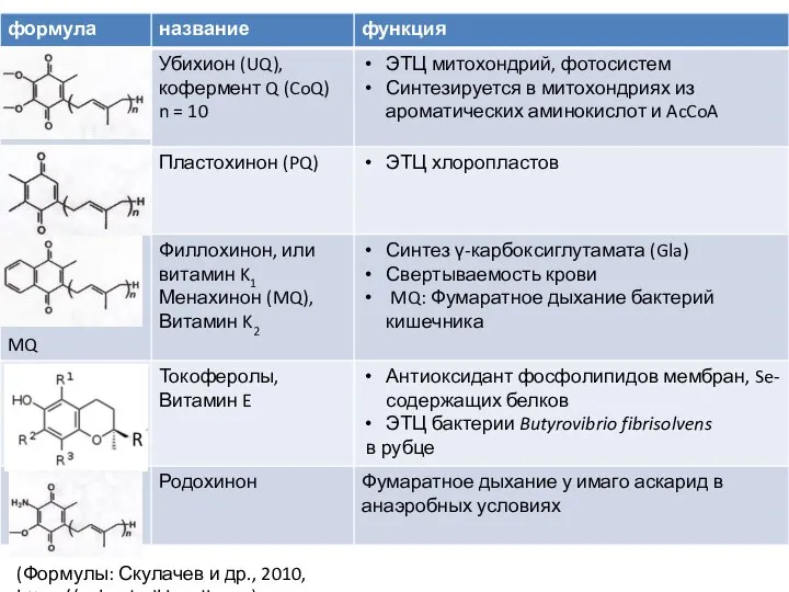 (Формулы: Скулачев и др., 2010, https://upload.wikimedia.org)