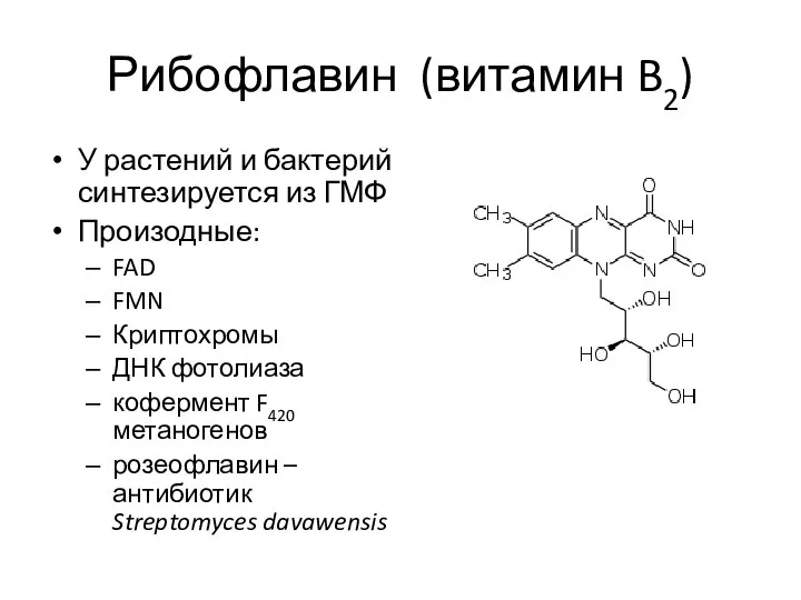Рибофлавин (витамин B2) У растений и бактерий синтезируется из ГМФ Произодные: FAD