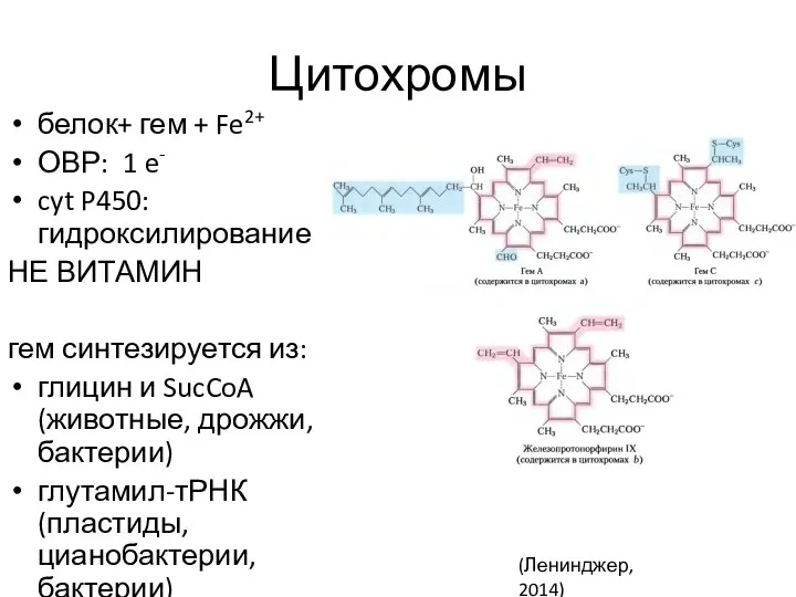 Цитохромы белок+ гем + Fe2+ ОВР: 1 e- cyt P450: гидроксилирование НЕ
