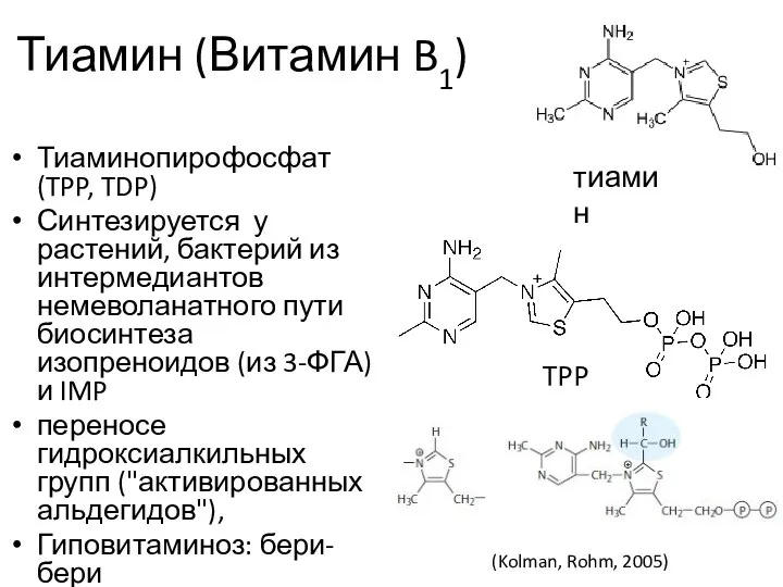 Тиамин (Витамин B1) Тиаминопирофосфат (TPP, TDP) Синтезируется у растений, бактерий из интермедиантов