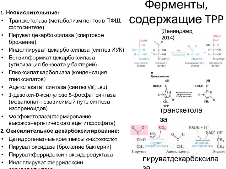 Ферменты, содержащие TPP 1. Неокислительные: Транскетолаза (метаболизм пентоз в ПФШ, фотосинтезе) Пируват