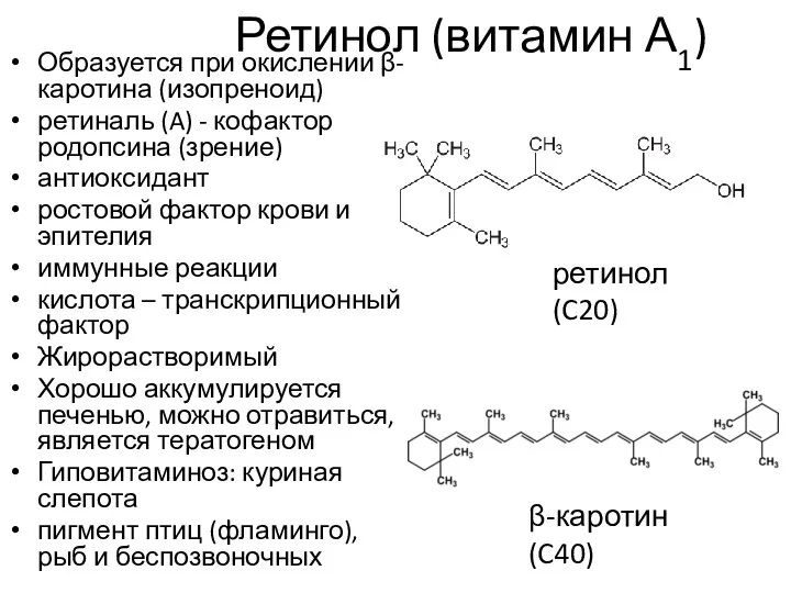 Ретинол (витамин А1) Образуется при окислении β-каротина (изопреноид) ретиналь (A) - кофактор