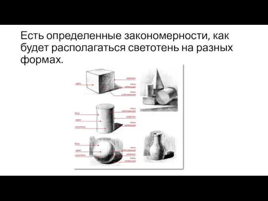 Есть определенные закономерности, как будет располагаться светотень на разных формах.