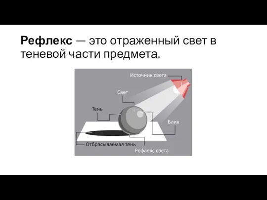 Рефлекс — это отраженный свет в теневой части предмета.