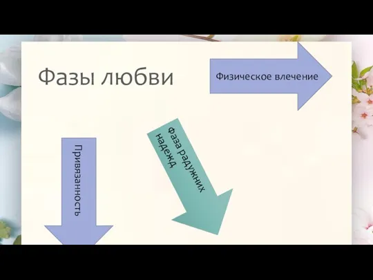 Фазы любви Физическое влечение Привязанность Фаза радужних надежд