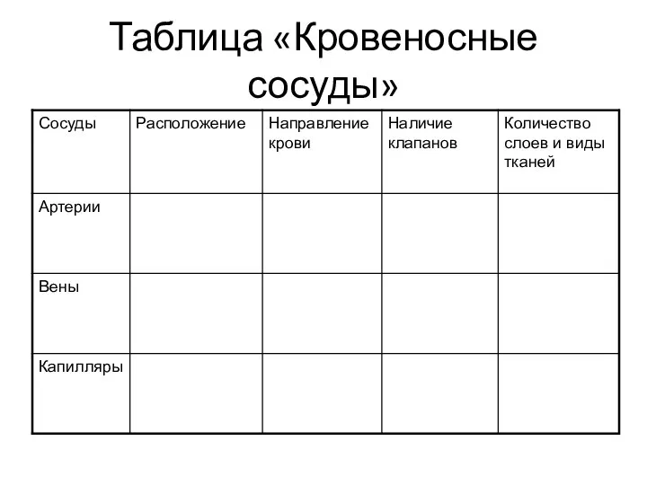 Таблица «Кровеносные сосуды»