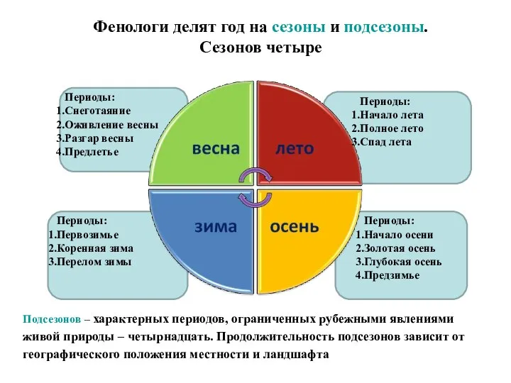 Фенологи делят год на сезоны и подсезоны. Сезонов четыре Подсезонов – характерных