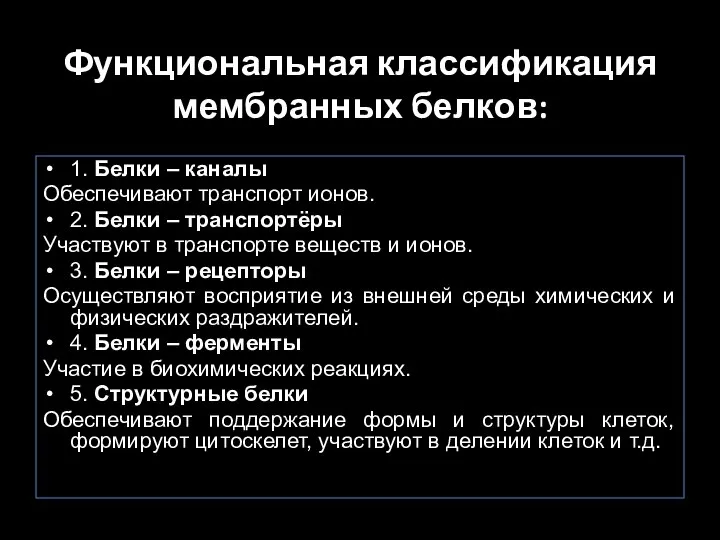 Функциональная классификация мембранных белков: 1. Белки – каналы Обеспечивают транспорт ионов. 2.