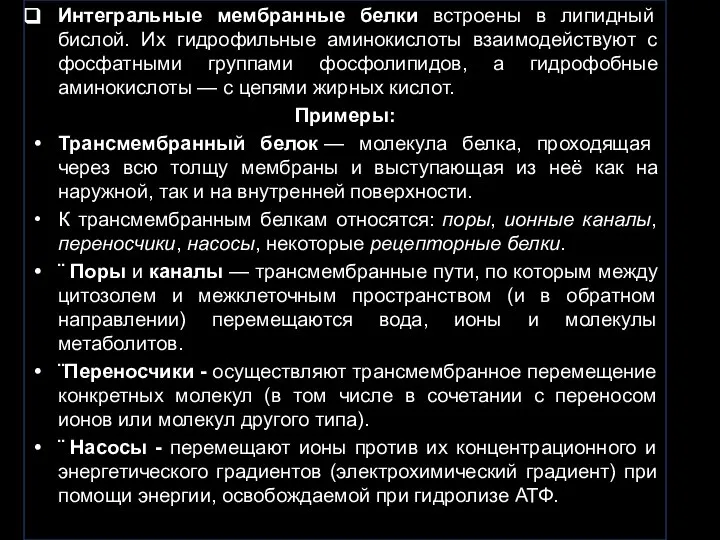 Интегральные мембранные белки встроены в липидный бислой. Их гидрофильные аминокислоты взаимодействуют с