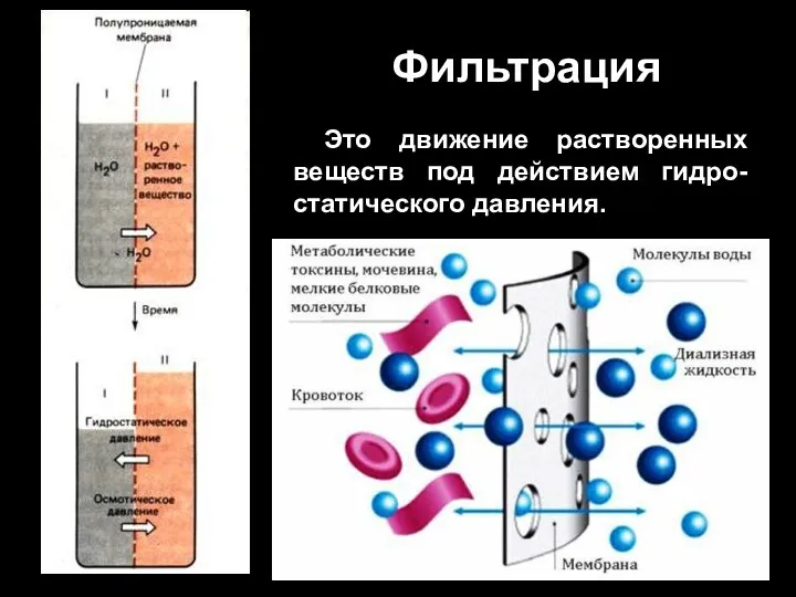 Фильтрация Это движение растворенных веществ под действием гидро-статического давления.