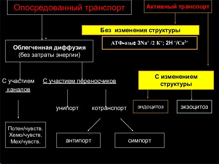 С участием С участием переносчиков каналов унипорт котранспорт Потен/чувств. Хемо/чувств. Мех/чувств. симпорт