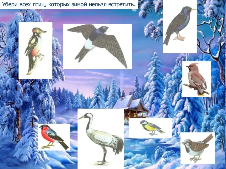 Убери всех птиц, которых зимой нельзя встретить.