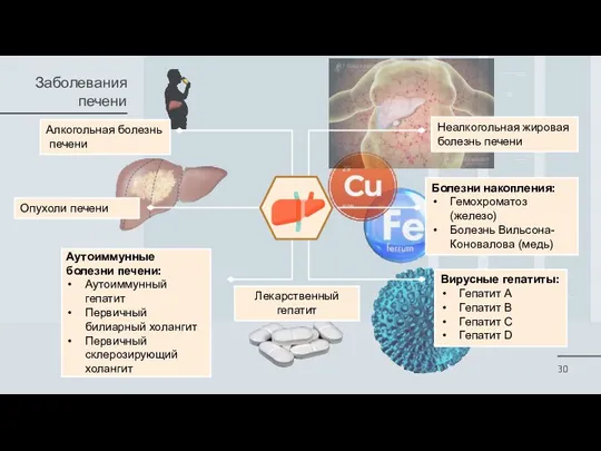 Заболевания печени Алкогольная болезнь печени Неалкогольная жировая болезнь печени Вирусные гепатиты: Гепатит