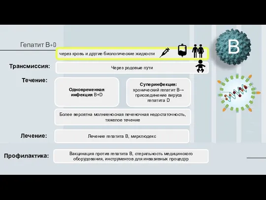 Гепатит В+D Трансмиссия: через кровь и другие биологические жидкости В Через родовые