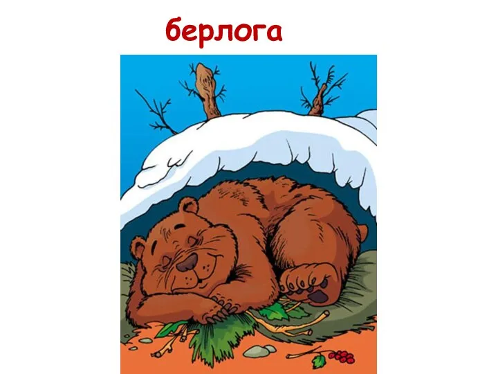 берлога