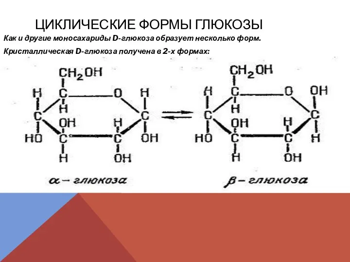 ЦИКЛИЧЕСКИЕ ФОРМЫ ГЛЮКОЗЫ Как и другие моносахариды D-глюкоза образует несколько форм. Кристаллическая