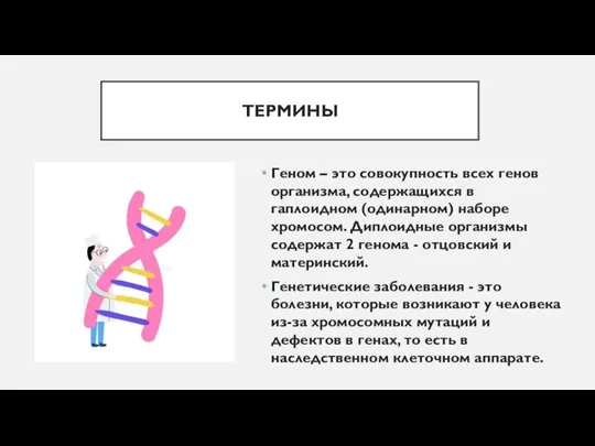 ТЕРМИНЫ Геном – это совокупность всех генов организма, содержащихся в гаплоидном (одинарном)