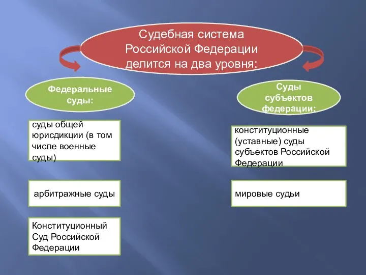 Судебная система Российской Федерации делится на два уровня: суды общей юрисдикции (в