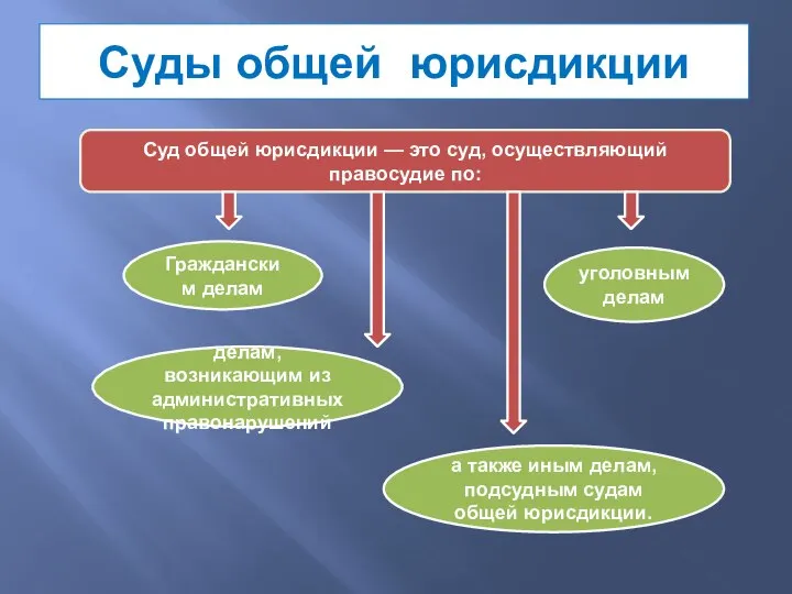 Гражданским делам Суд общей юрисдикции — это суд, осуществляющий правосудие по: уголовным