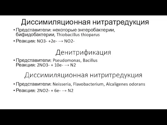 Диссимиляционная нитратредукция Представители: некоторые энтеробактерии, бифидобактерии, Thiobacillus thioparus Реакция: NO3- +2e- →