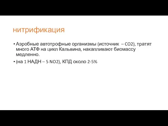 нитрификация Аэробные автотрофные организмы (источник – CO2), тратят много АТФ на цикл