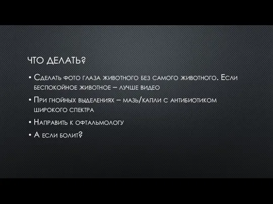 ЧТО ДЕЛАТЬ? Сделать фото глаза животного без самого животного. Если беспокойное животное