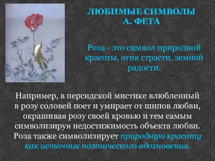ЛЮБИМЫЕ СИМВОЛЫ А. ФЕТА Роза - это символ природной красоты, огня страсти,