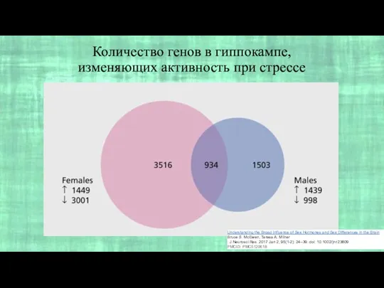 Количество генов в гиппокампе, изменяющих активность при стрессе Understanding the Broad Influence