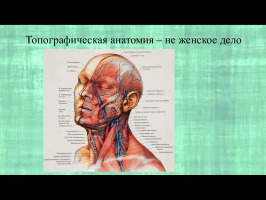 Топографическая анатомия – не женское дело