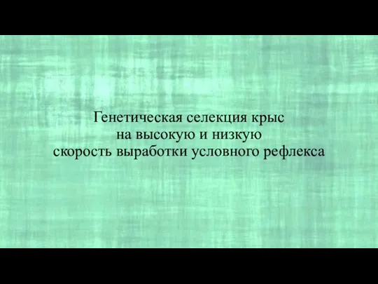 Генетическая селекция крыс на высокую и низкую скорость выработки условного рефлекса