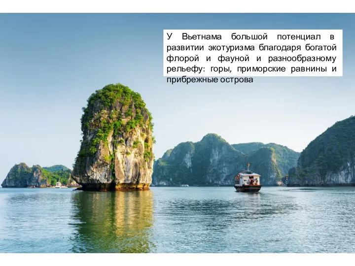 У Вьетнама большой потенциал в развитии экотуризма благодаря богатой флорой и фауной