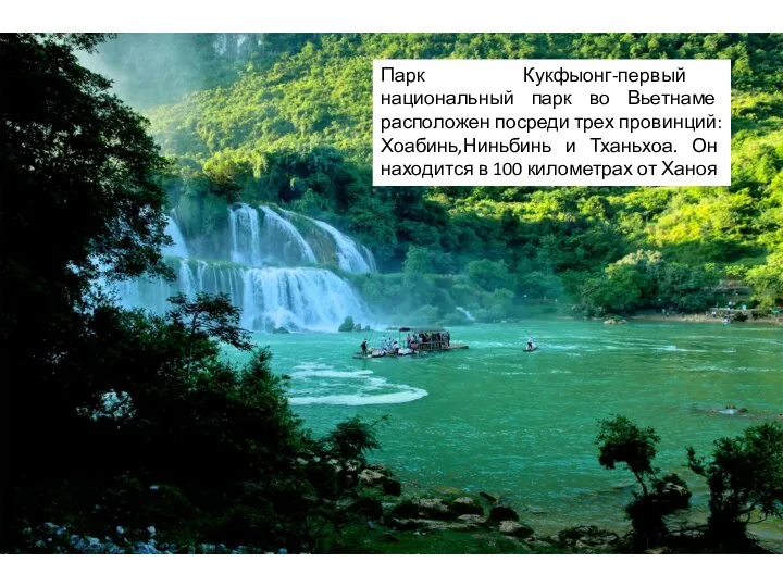 Парк Кукфыонг-первый национальный парк во Вьетнаме расположен посреди трех провинций: Хоабинь,Ниньбинь и