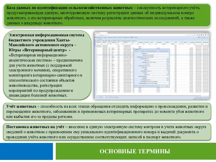 ОСНОВНЫЕ ТЕРМИНЫ База данных по идентификации сельскохозяйственных животных – совокупность ветеринарного учёта,