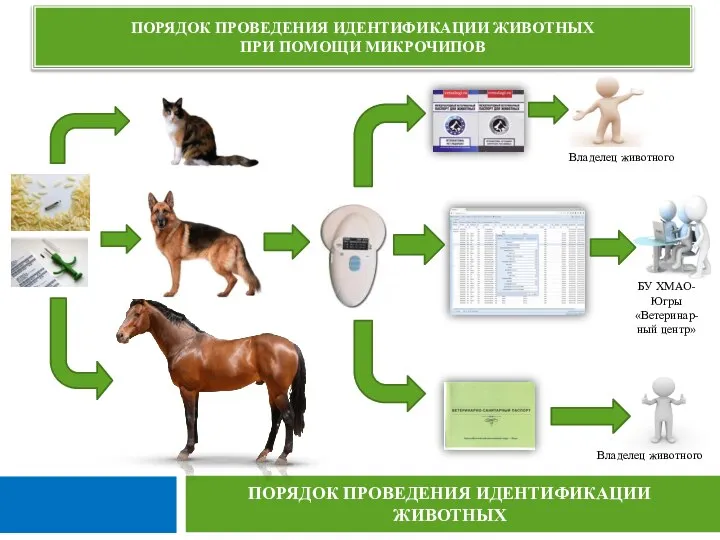 ПОРЯДОК ПРОВЕДЕНИЯ ИДЕНТИФИКАЦИИ ЖИВОТНЫХ ПРИ ПОМОЩИ МИКРОЧИПОВ ПОРЯДОК ПРОВЕДЕНИЯ ИДЕНТИФИКАЦИИ ЖИВОТНЫХ Владелец