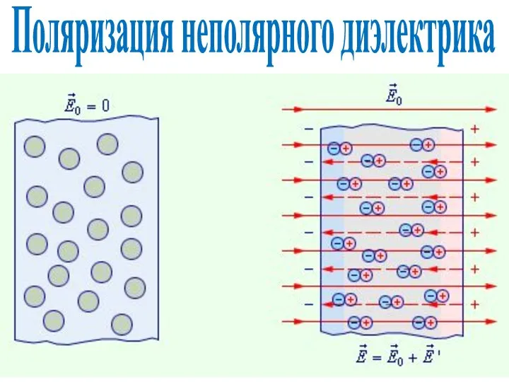 Поляризация неполярного диэлектрика