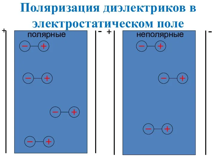 полярные неполярные + + - - Поляризация диэлектриков в электростатическом поле