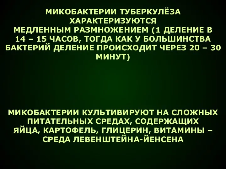 МИКОБАКТЕРИИ ТУБЕРКУЛЁЗА ХАРАКТЕРИЗУЮТСЯ МЕДЛЕННЫМ РАЗМНОЖЕНИЕМ (1 ДЕЛЕНИЕ В 14 – 15 ЧАСОВ,