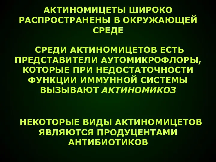 АКТИНОМИЦЕТЫ ШИРОКО РАСПРОСТРАНЕНЫ В ОКРУЖАЮЩЕЙ СРЕДЕ СРЕДИ АКТИНОМИЦЕТОВ ЕСТЬ ПРЕДСТАВИТЕЛИ АУТОМИКРОФЛОРЫ, КОТОРЫЕ