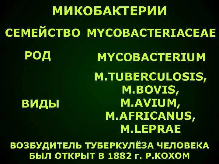 МИКОБАКТЕРИИ MYCOBACTERIACEAE MYCOBACTERIUM M.TUBERCULOSIS, M.BOVIS, M.AVIUM, M.AFRICANUS, M.LEPRAE СЕМЕЙСТВО РОД ВИДЫ ВОЗБУДИТЕЛЬ