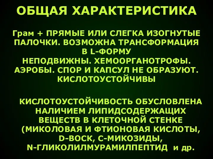 ОБЩАЯ ХАРАКТЕРИСТИКА Грам + ПРЯМЫЕ ИЛИ СЛЕГКА ИЗОГНУТЫЕ ПАЛОЧКИ. ВОЗМОЖНА ТРАНСФОРМАЦИЯ В