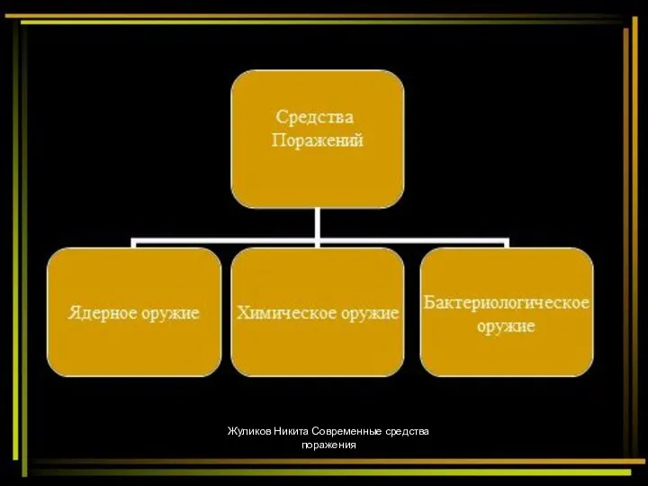 Жуликов Никита Современные средства поражения