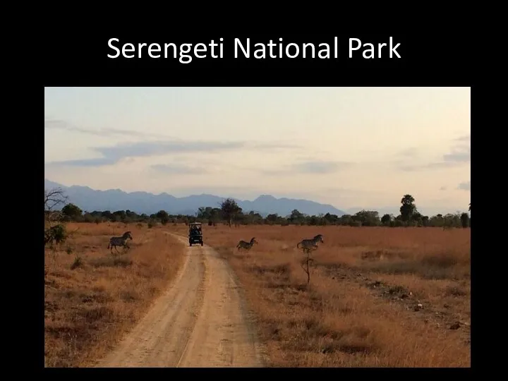 Serengeti National Park