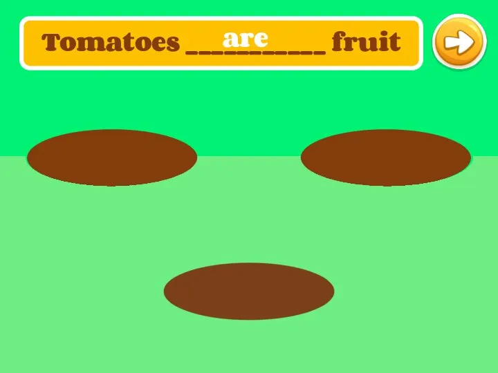 Tomatoes ___________ fruit are