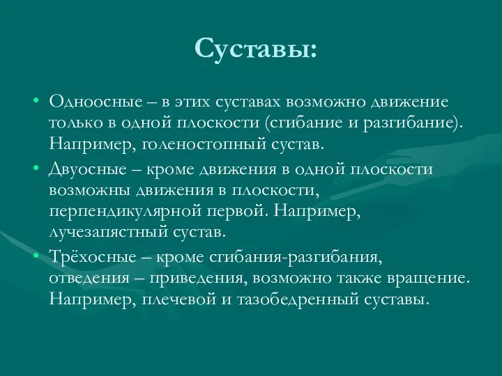 Суставы: Одноосные – в этих суставах возможно движение только в одной плоскости