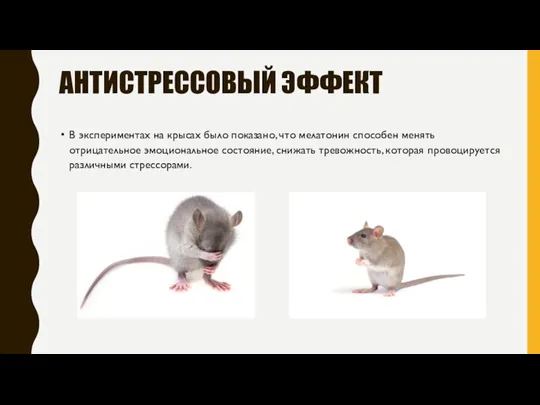 АНТИСТРЕССОВЫЙ ЭФФЕКТ В экспериментах на крысах было показано, что мелатонин способен менять