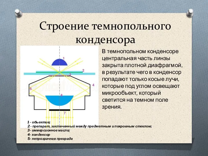 Строение темнопольного конденсора 1 - объектив; 2 - препарат, заключенный между предметным