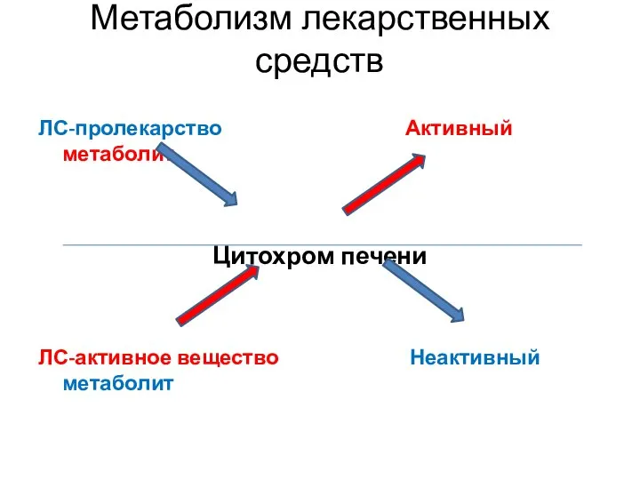 Метаболизм лекарственных средств ЛС-пролекарство Активный метаболит Цитохром печени ЛС-активное вещество Неактивный метаболит