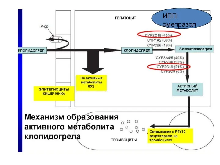 ИПП: омепразол