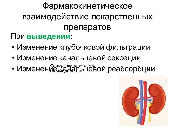 Фармакокинетическое взаимодействие лекарственных препаратов При выведении: Изменение клубочковой фильтрации Изменение канальцевой секреции